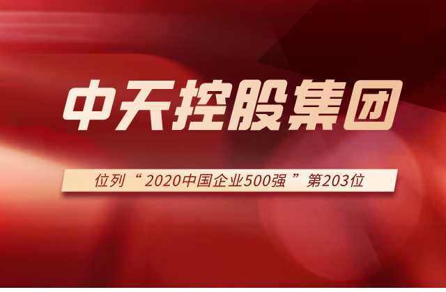 控股集团列2020中国企业500强第203位！